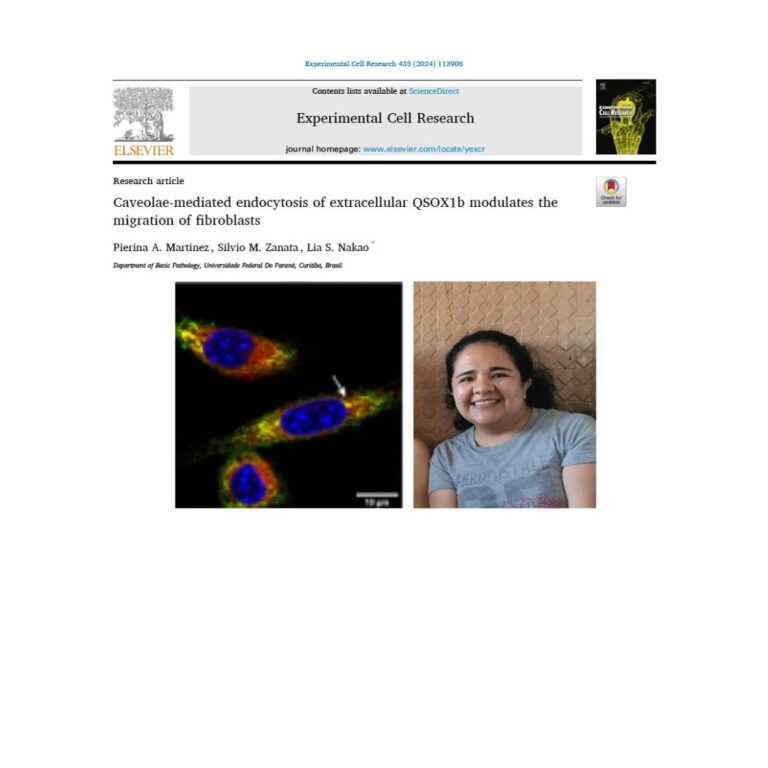 Trabalho que mostra que QSOX1 extracelular é endocitada via caveola é publicado